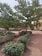 A well-maintained garden area with neatly arranged shrubs and small trees. The ground is covered with a mix of grass and dirt. In the background, a yellow-tinted building can be partially seen.