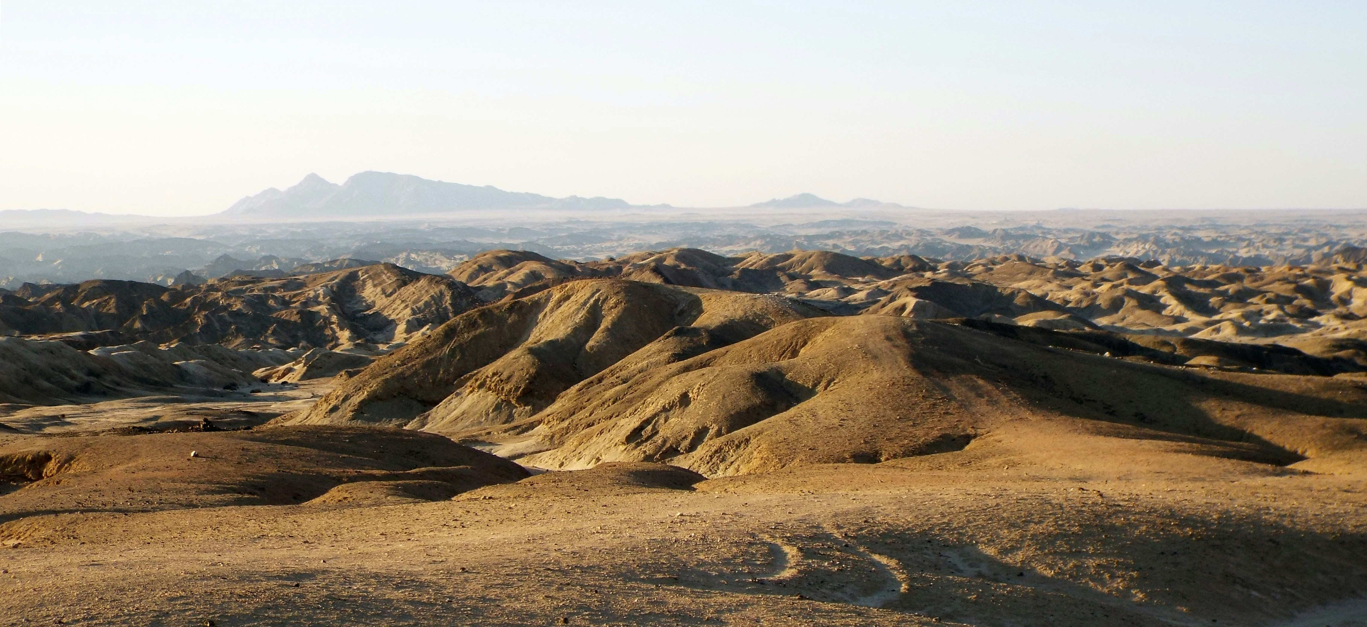 Photo by gordonsmyrell