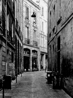 A narrow cobblestone alley lined with charming old buildings in a European town.