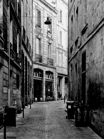 A narrow cobblestone alley lined with charming old buildings in a European town.