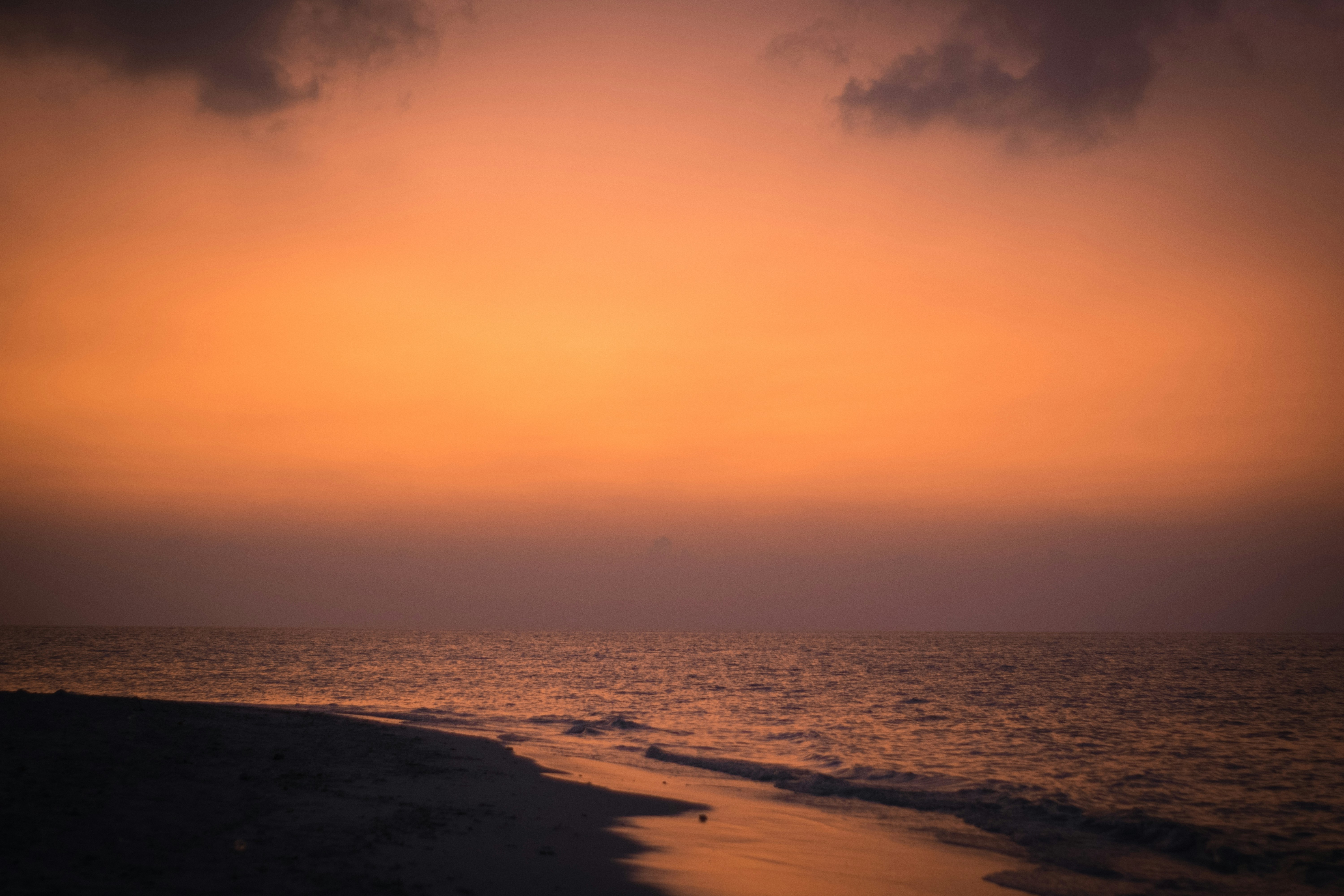 Photo by aleksdim