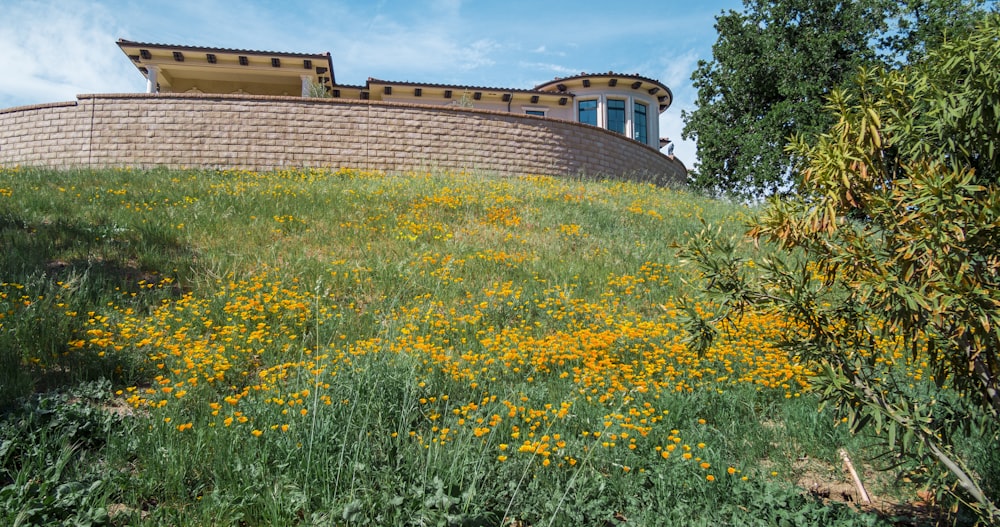 a building on top of a hill surrounded by wildflowers