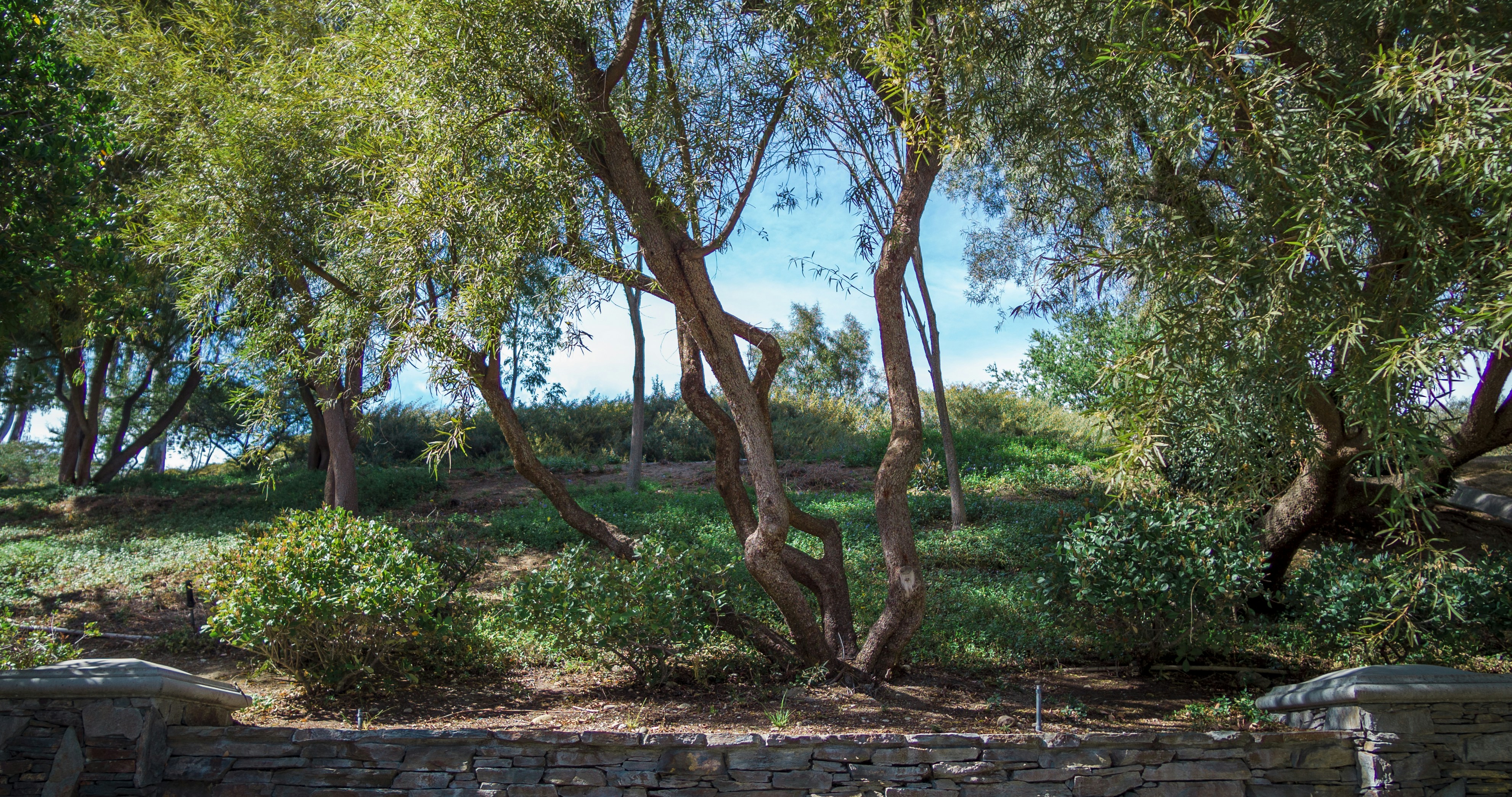 Photo by _nickwright_