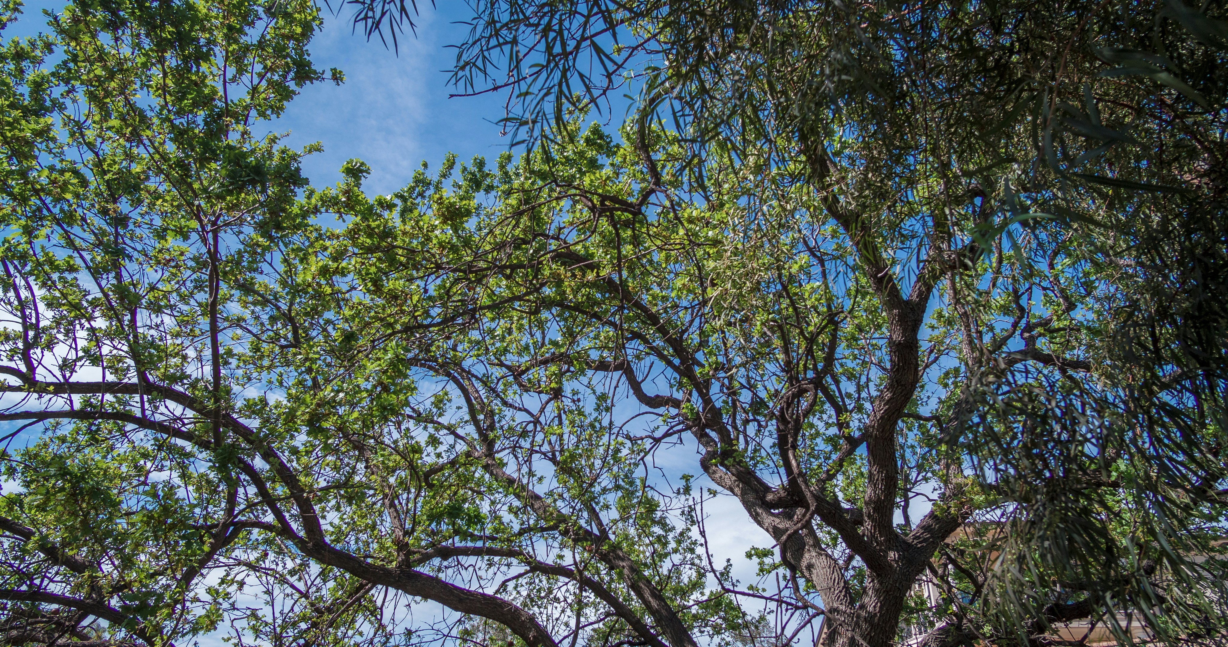 Photo by _nickwright_