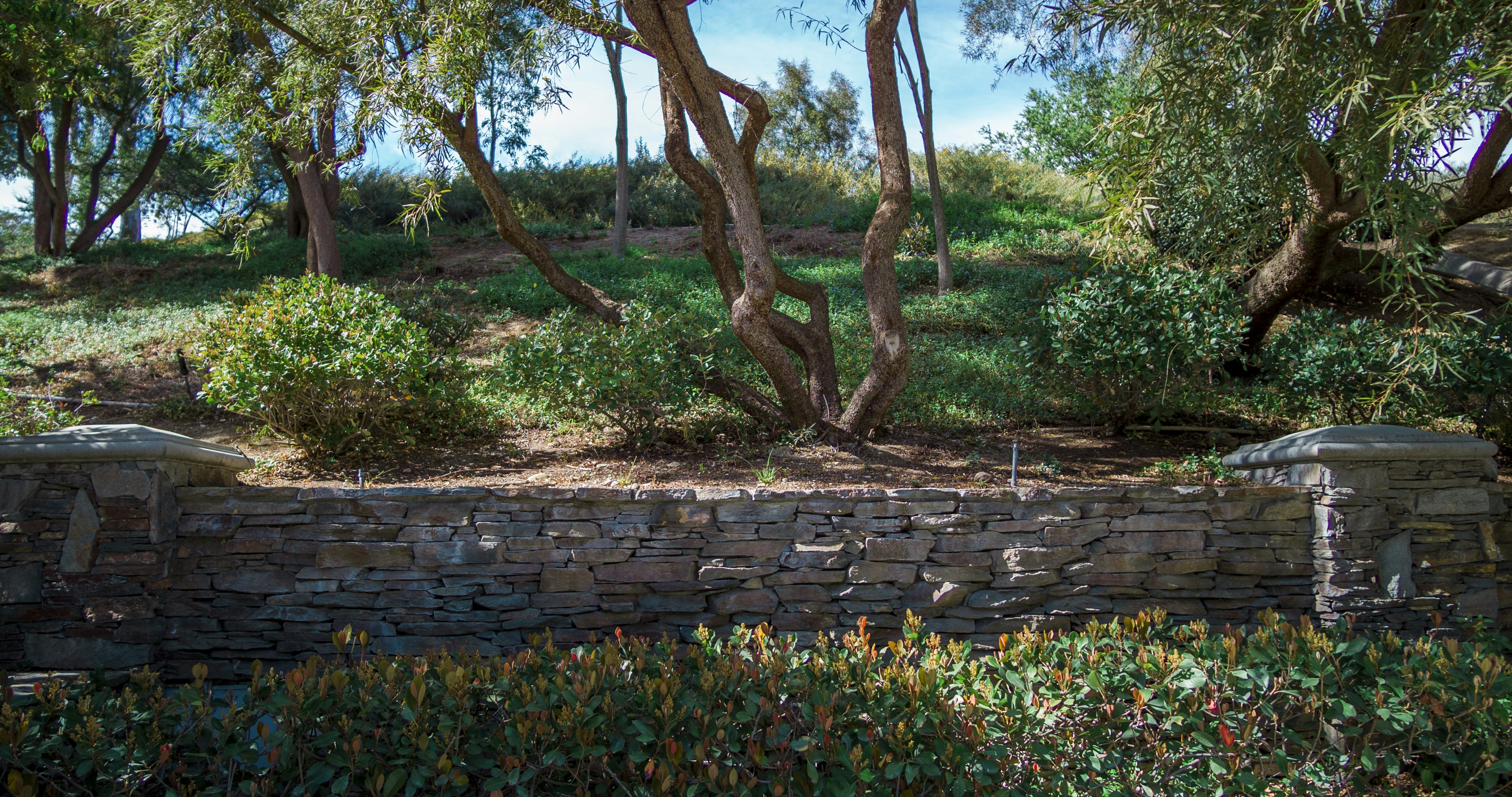 Photo by _nickwright_