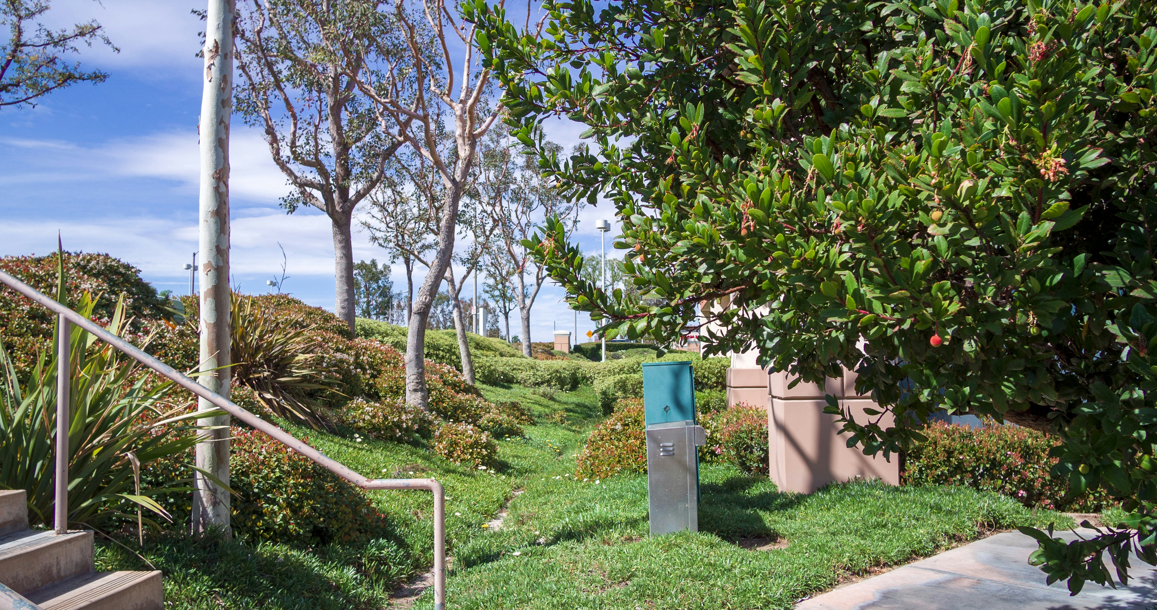 Photo by _nickwright_