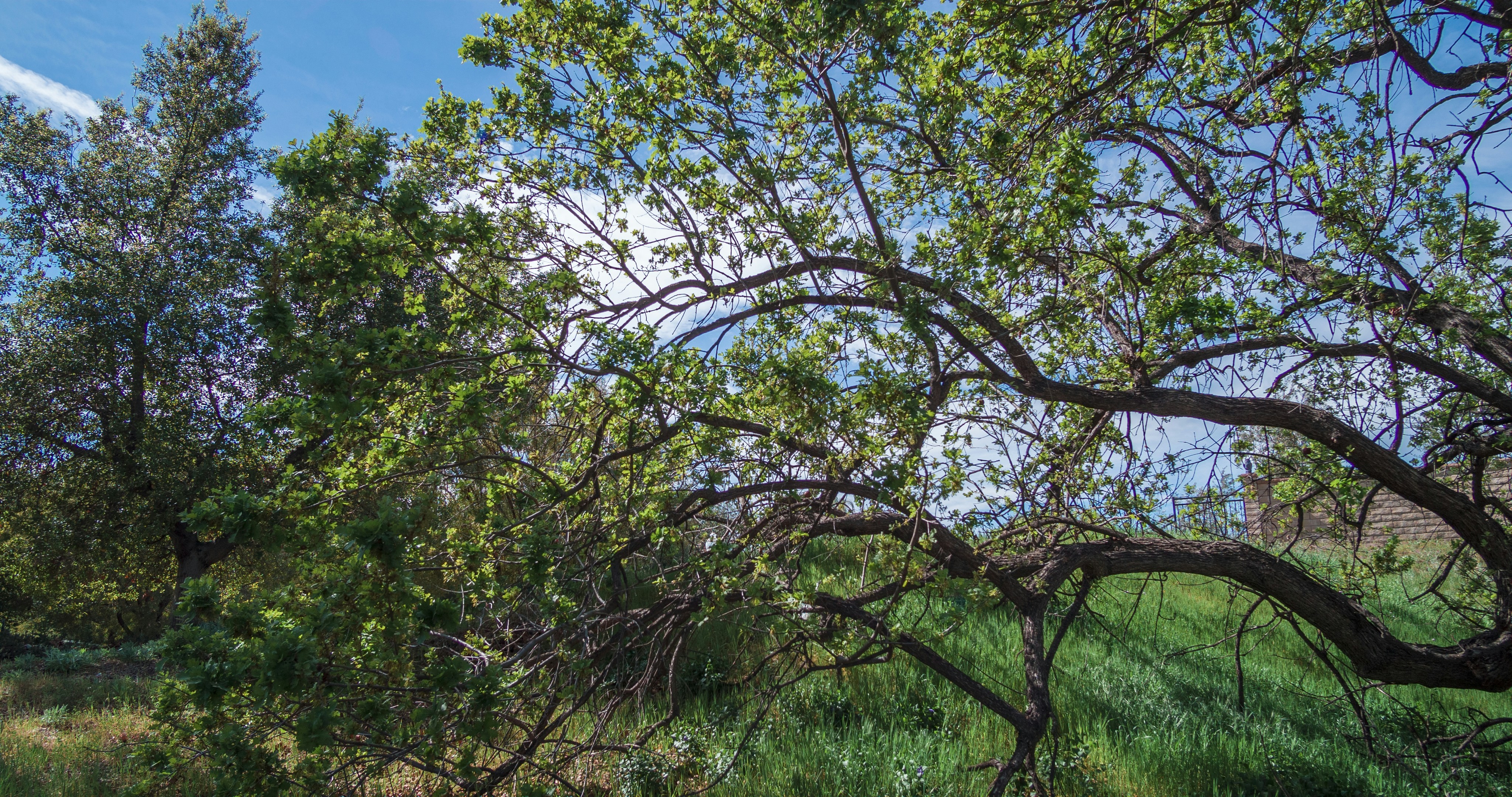 Photo by _nickwright_