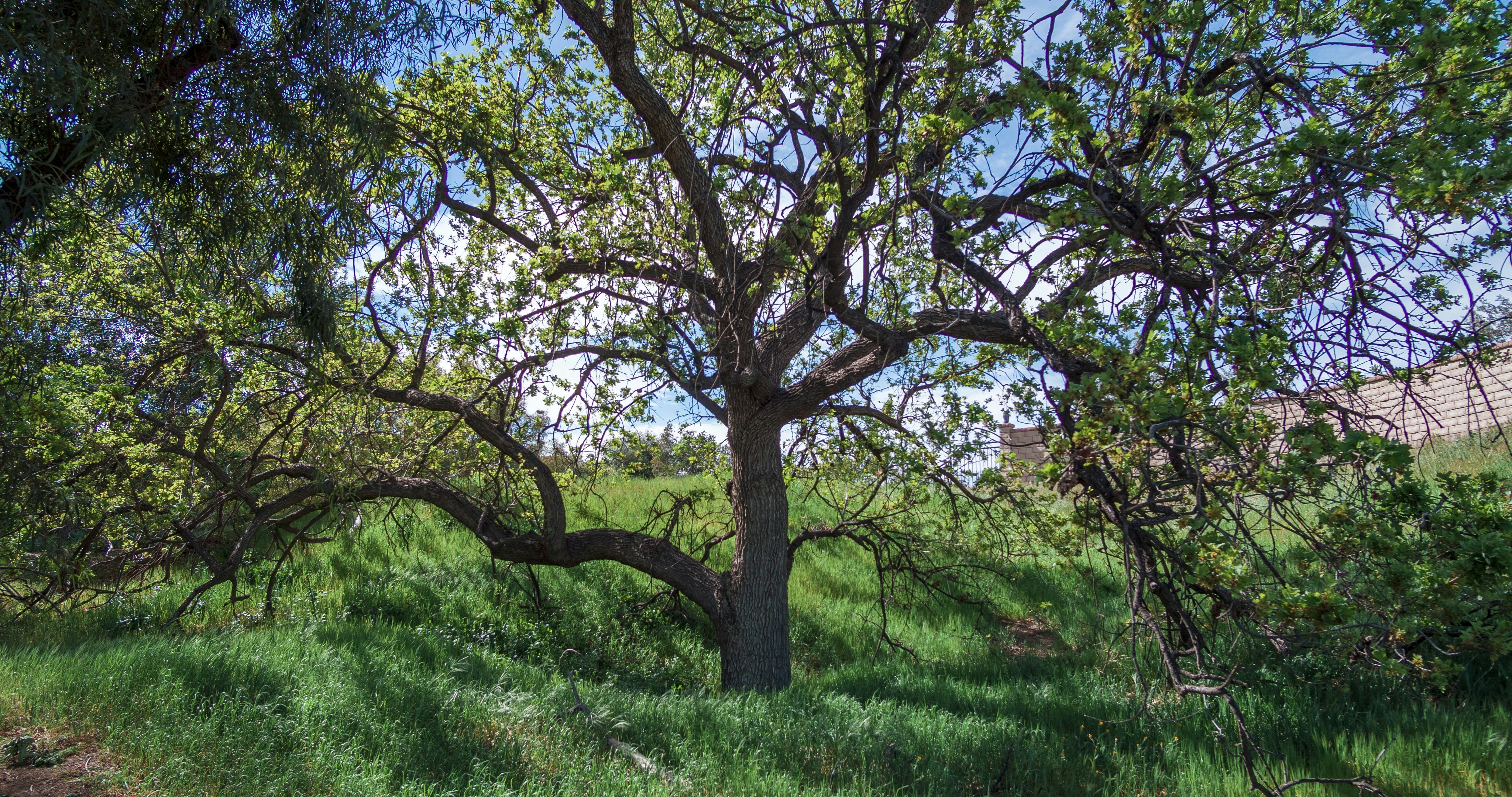 Photo by _nickwright_