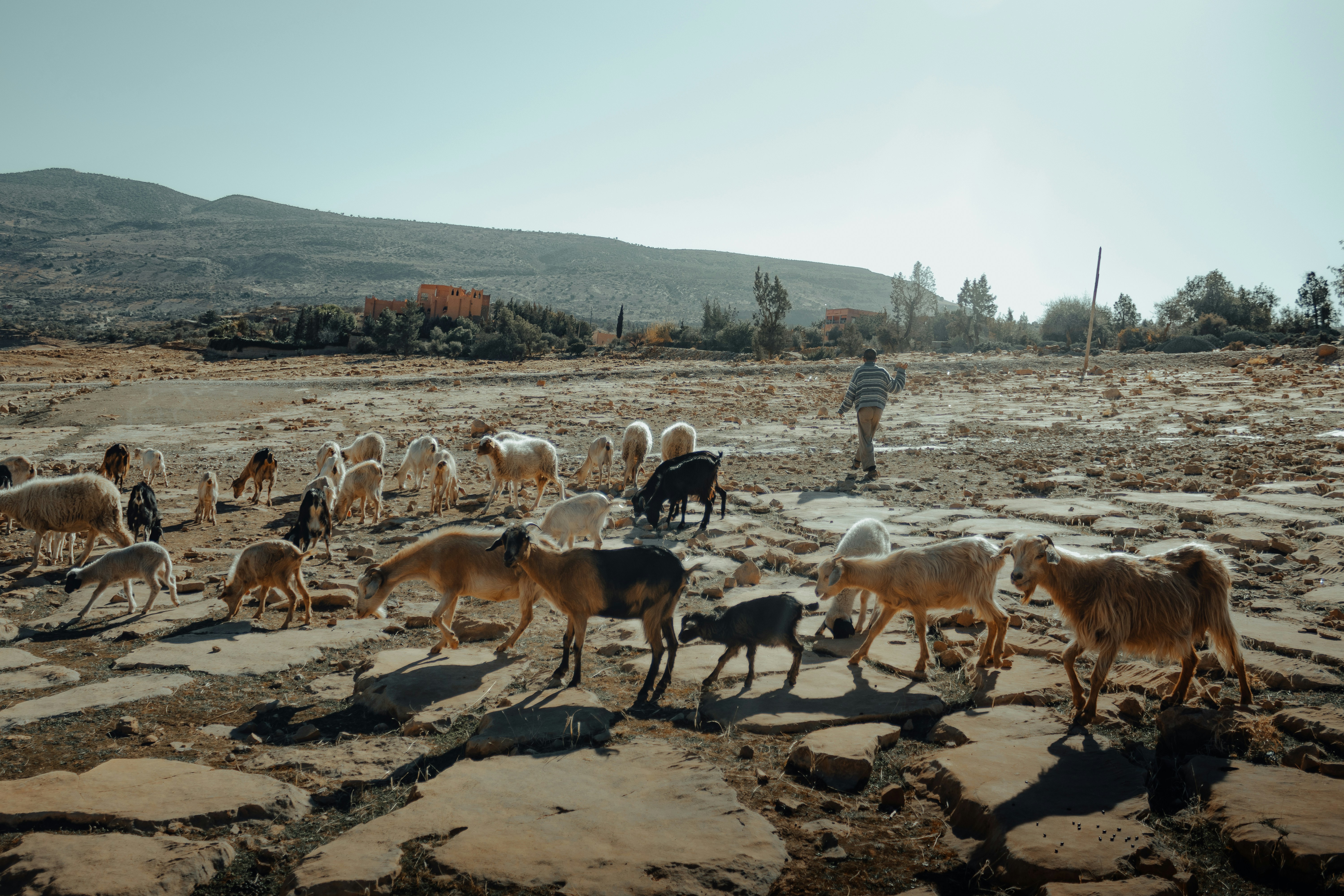 Photo by salaheregouane