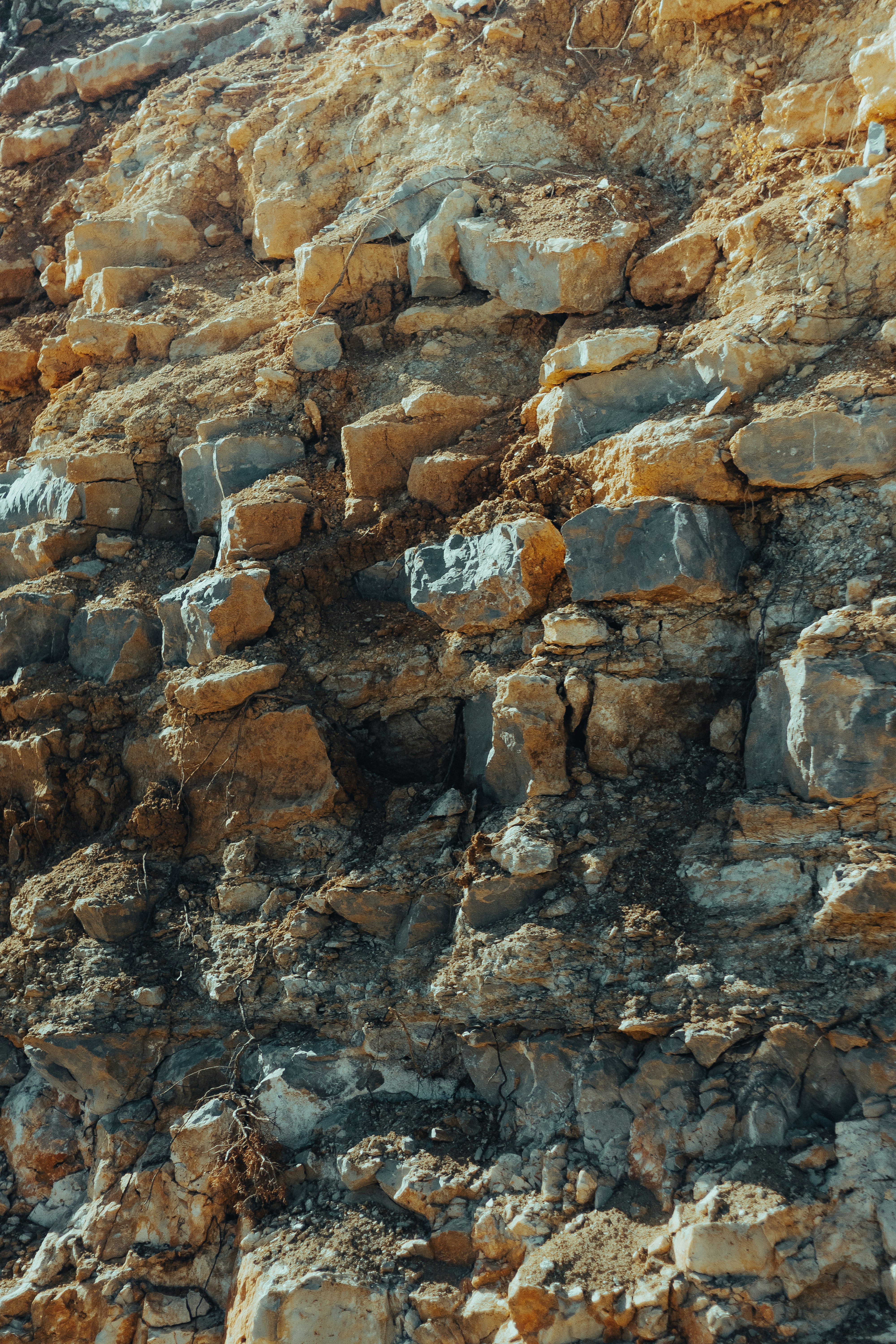 Photo by salaheregouane