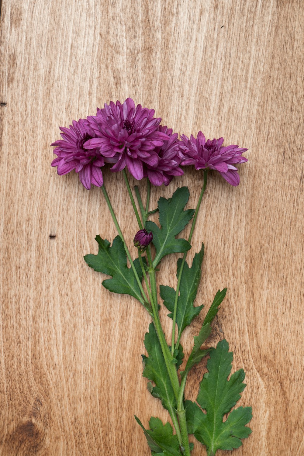 a bunch of purple flowers sitting on top of a wooden table