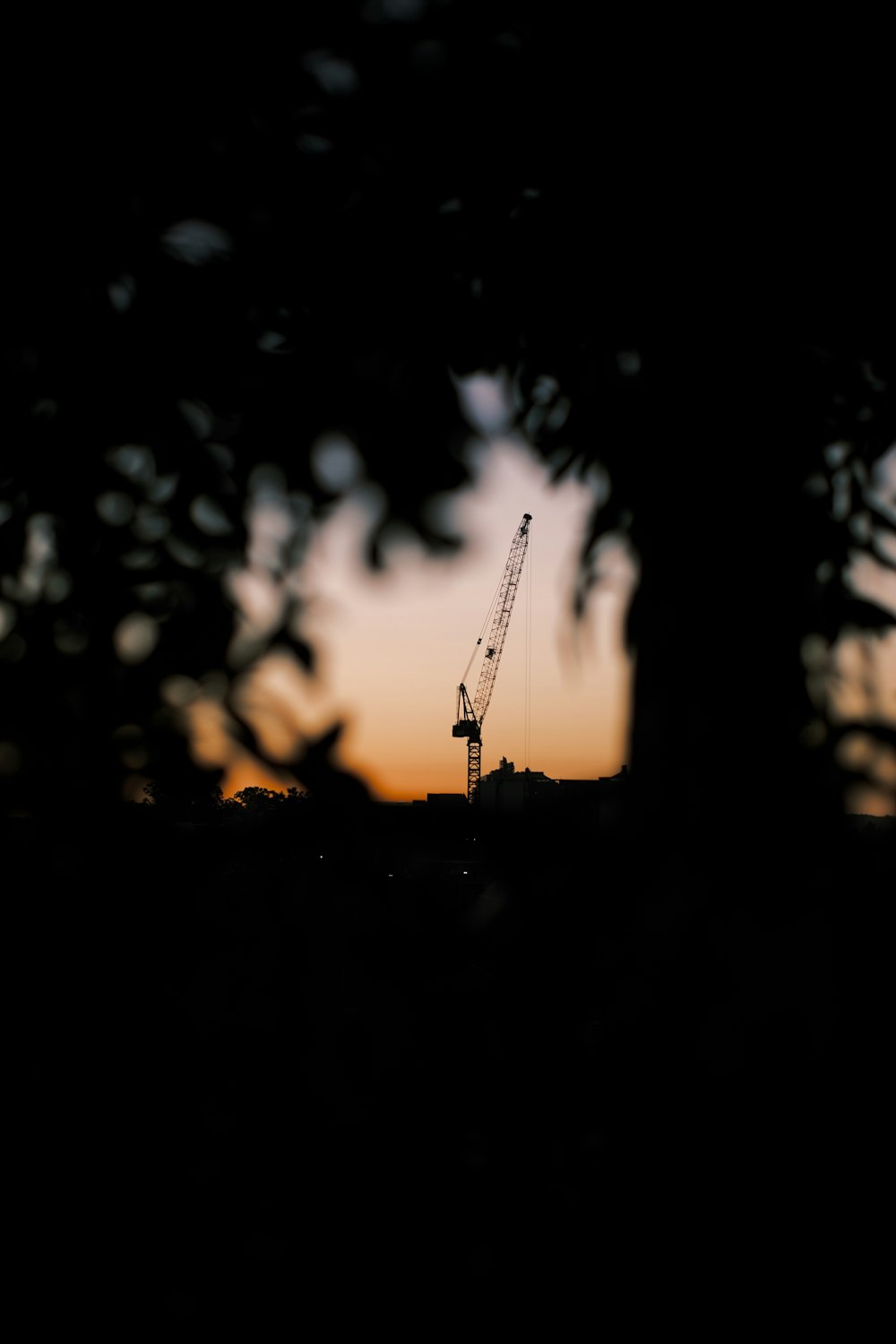 a crane is silhouetted against the setting sun