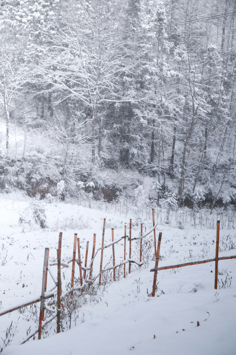 a fence in the snow with trees in the background