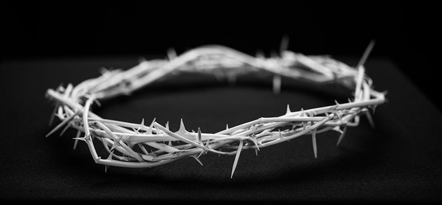 On Courage and the Crowning of Thorns