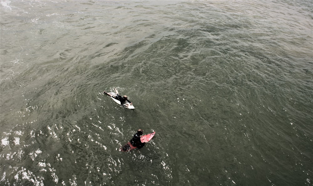 eine Person im Wasser mit einem Surfbrett