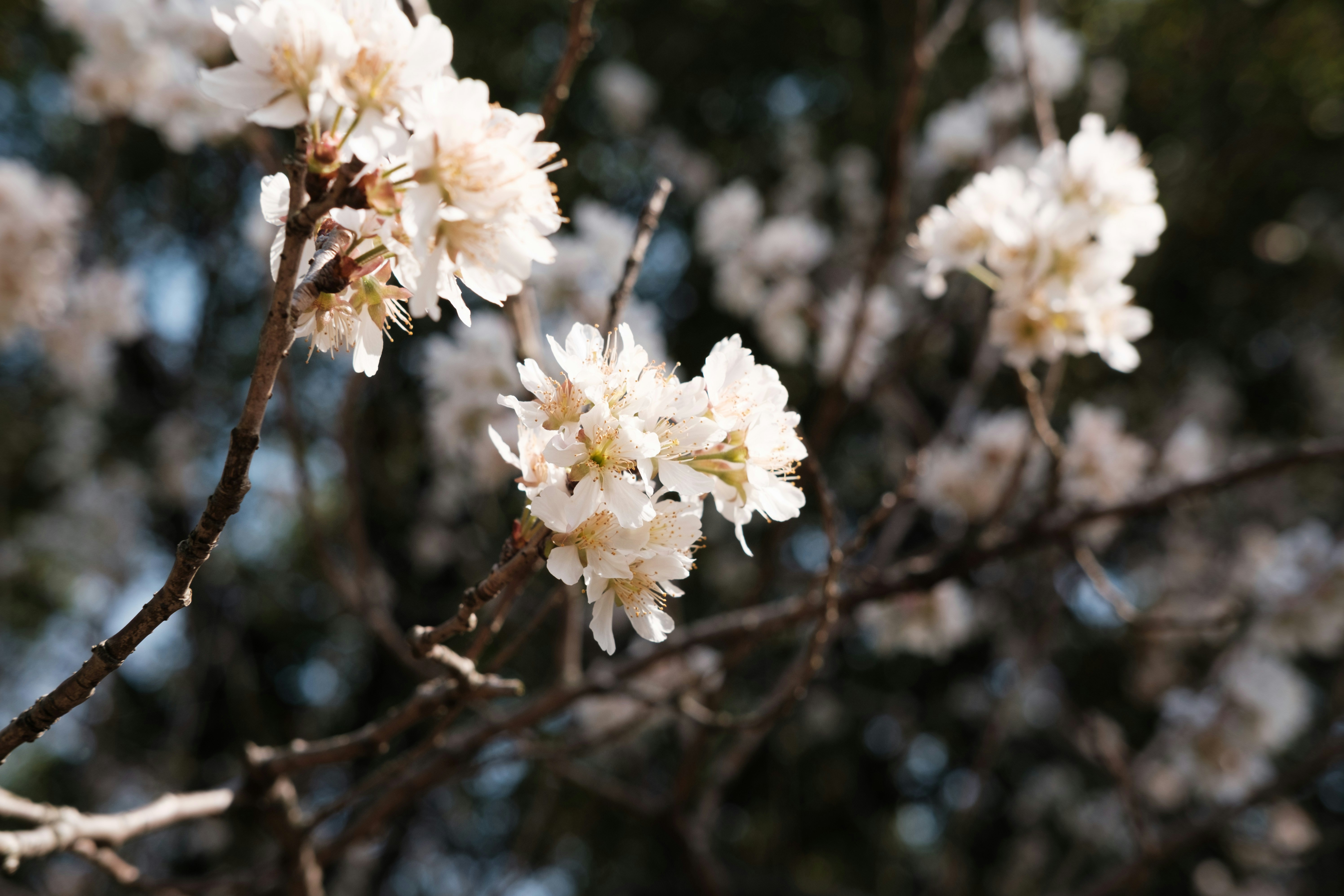 Photo by whalexx