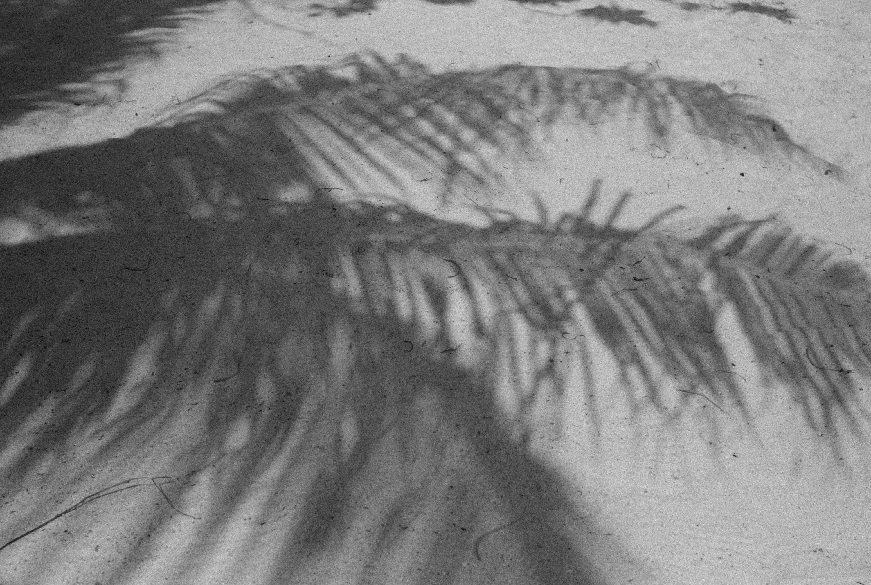 Photo by alexeydemidov