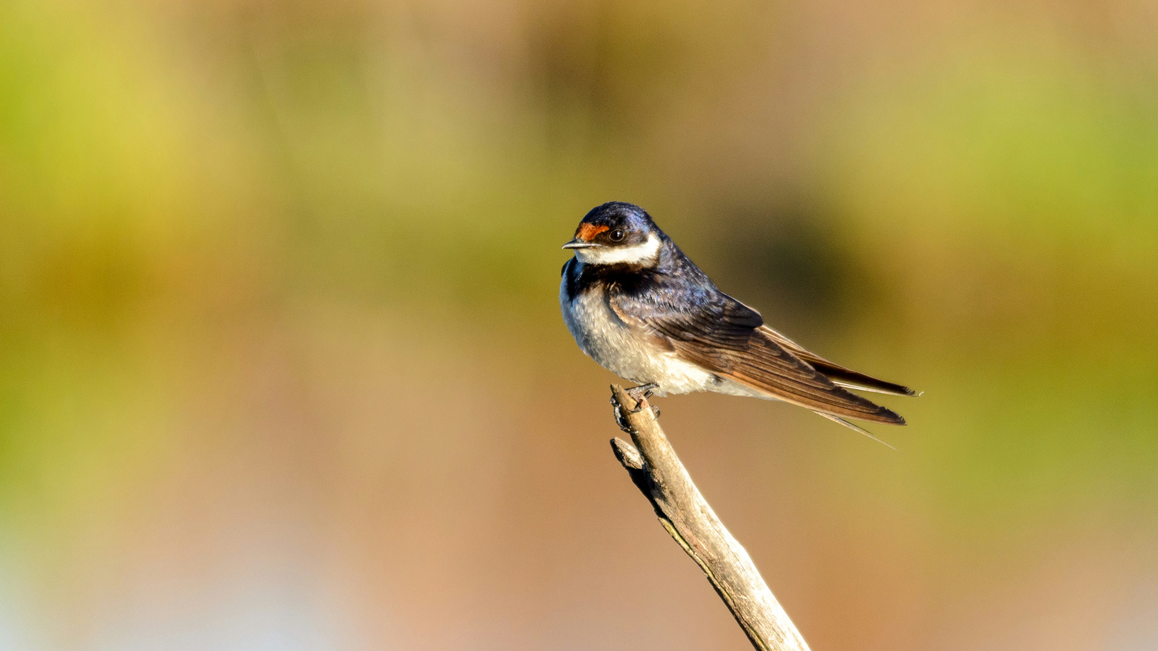 Photo by stewardesign