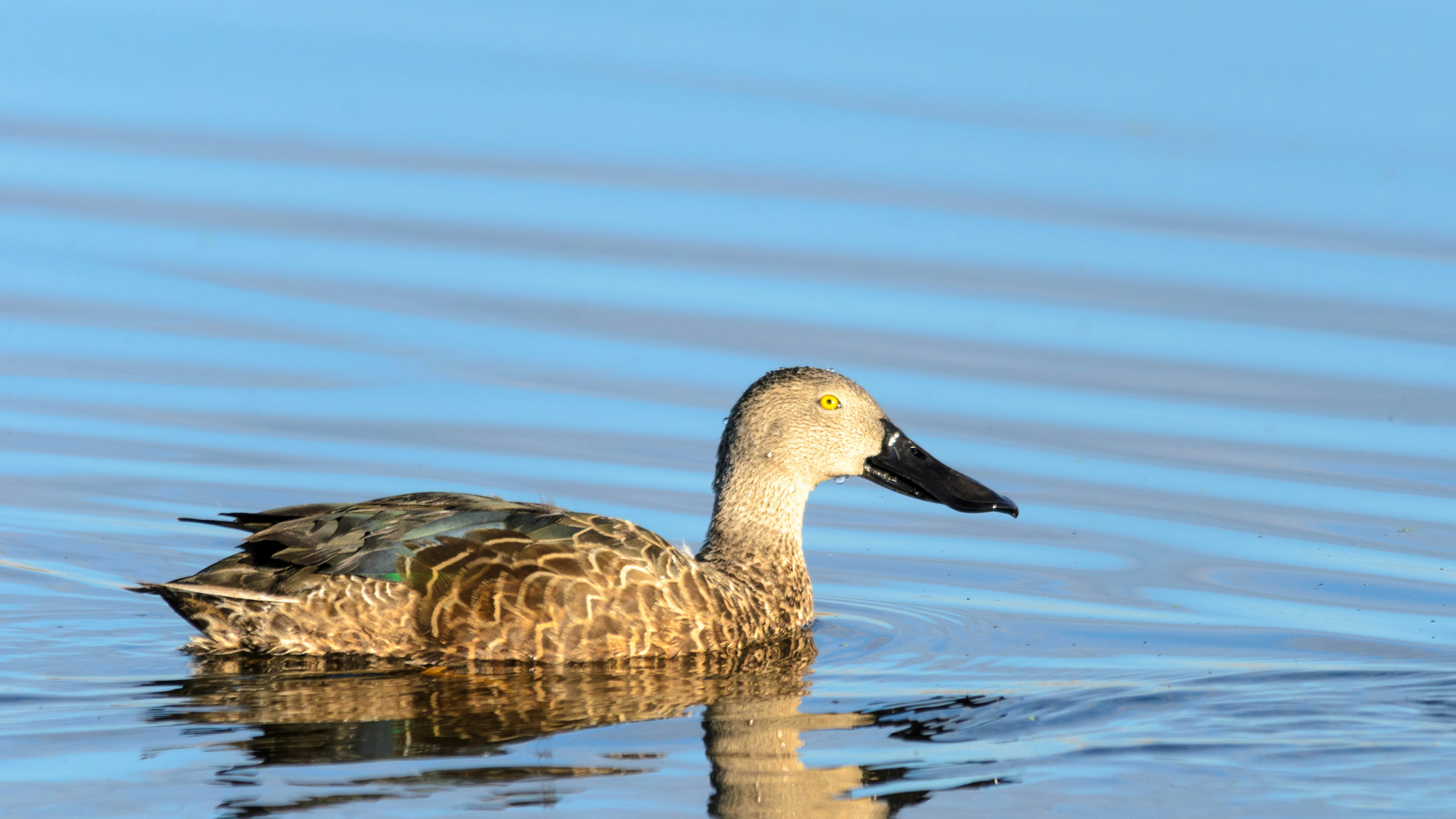 Photo by stewardesign