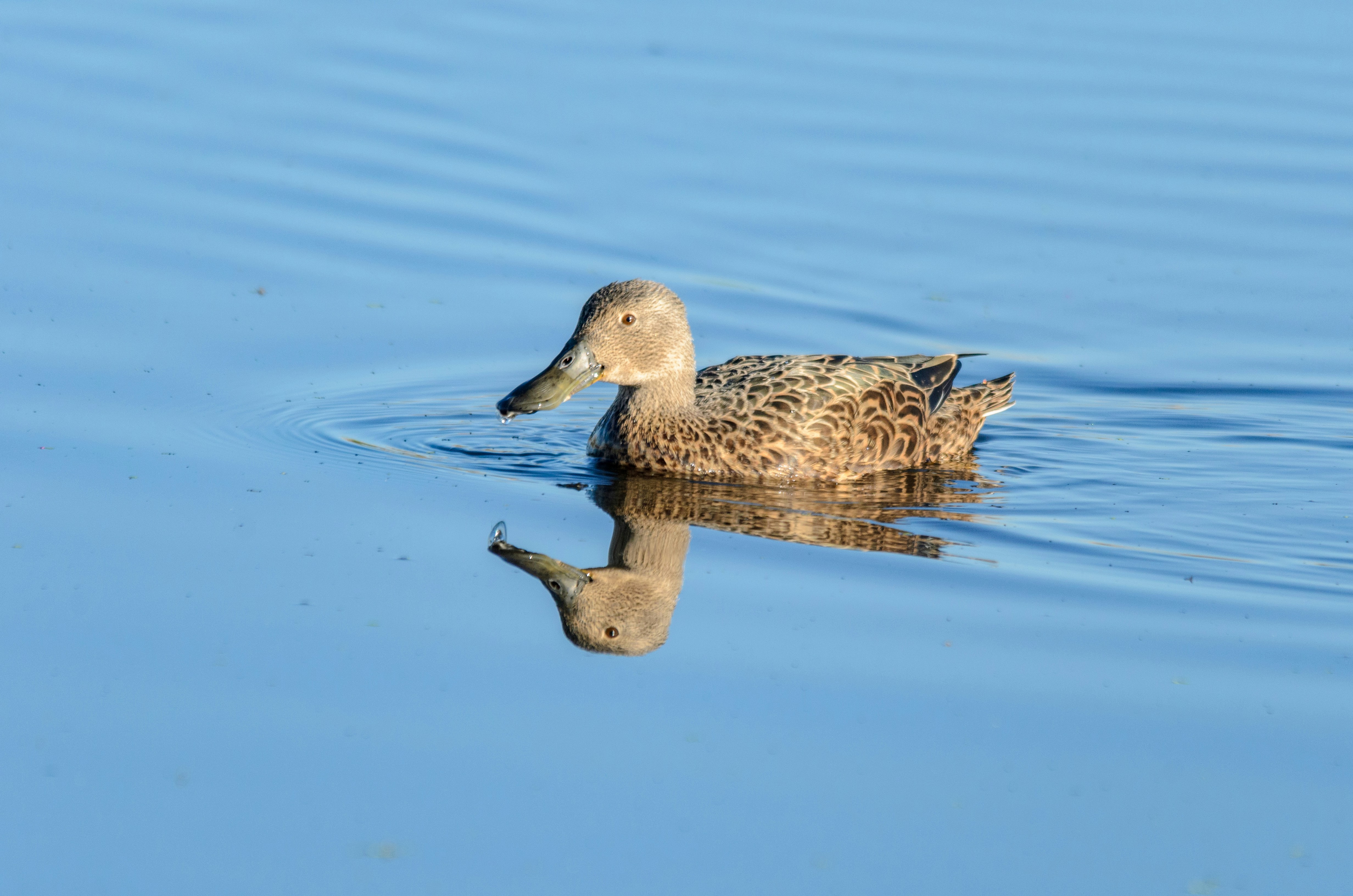 Photo by stewardesign