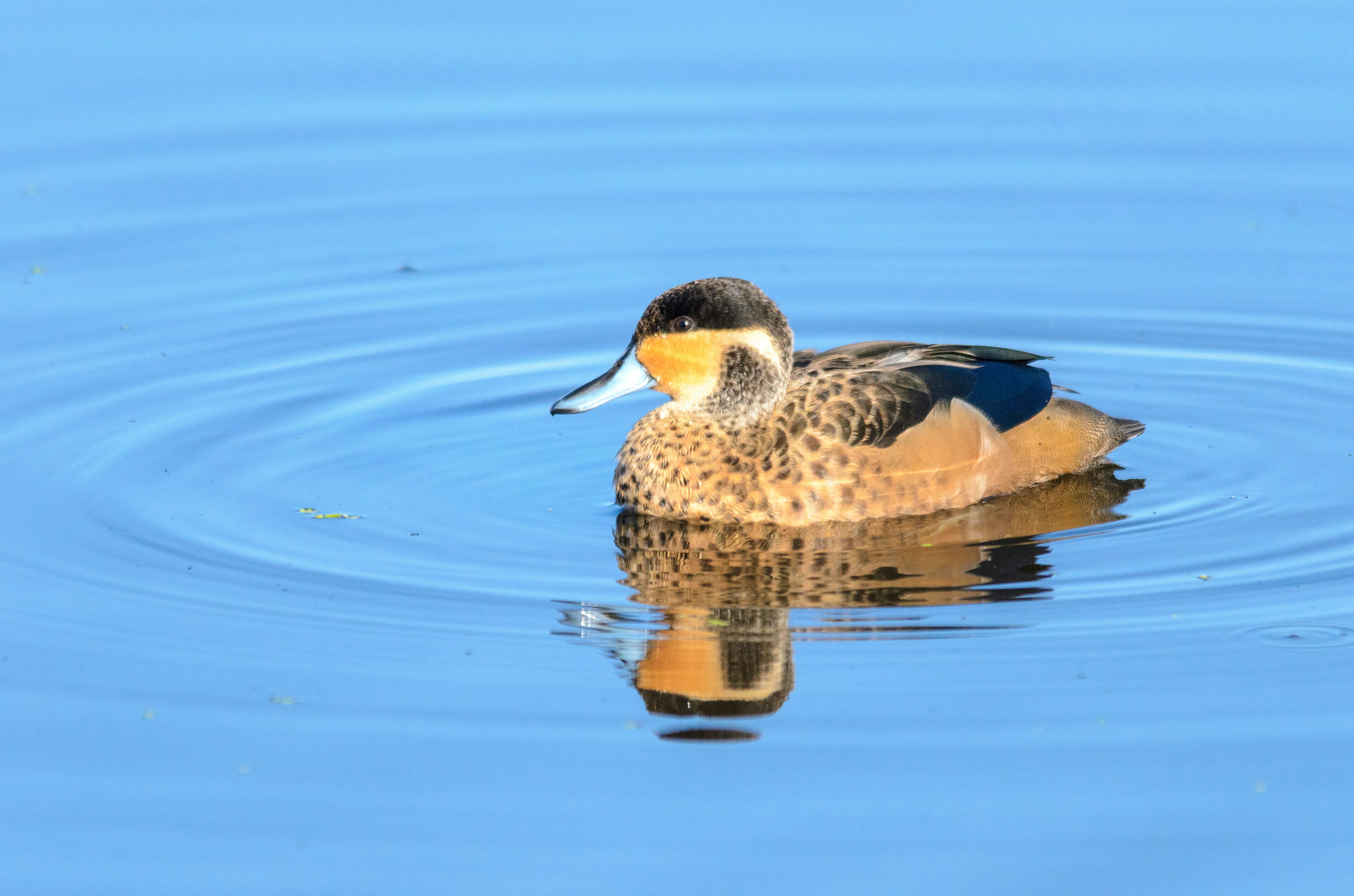 Photo by stewardesign