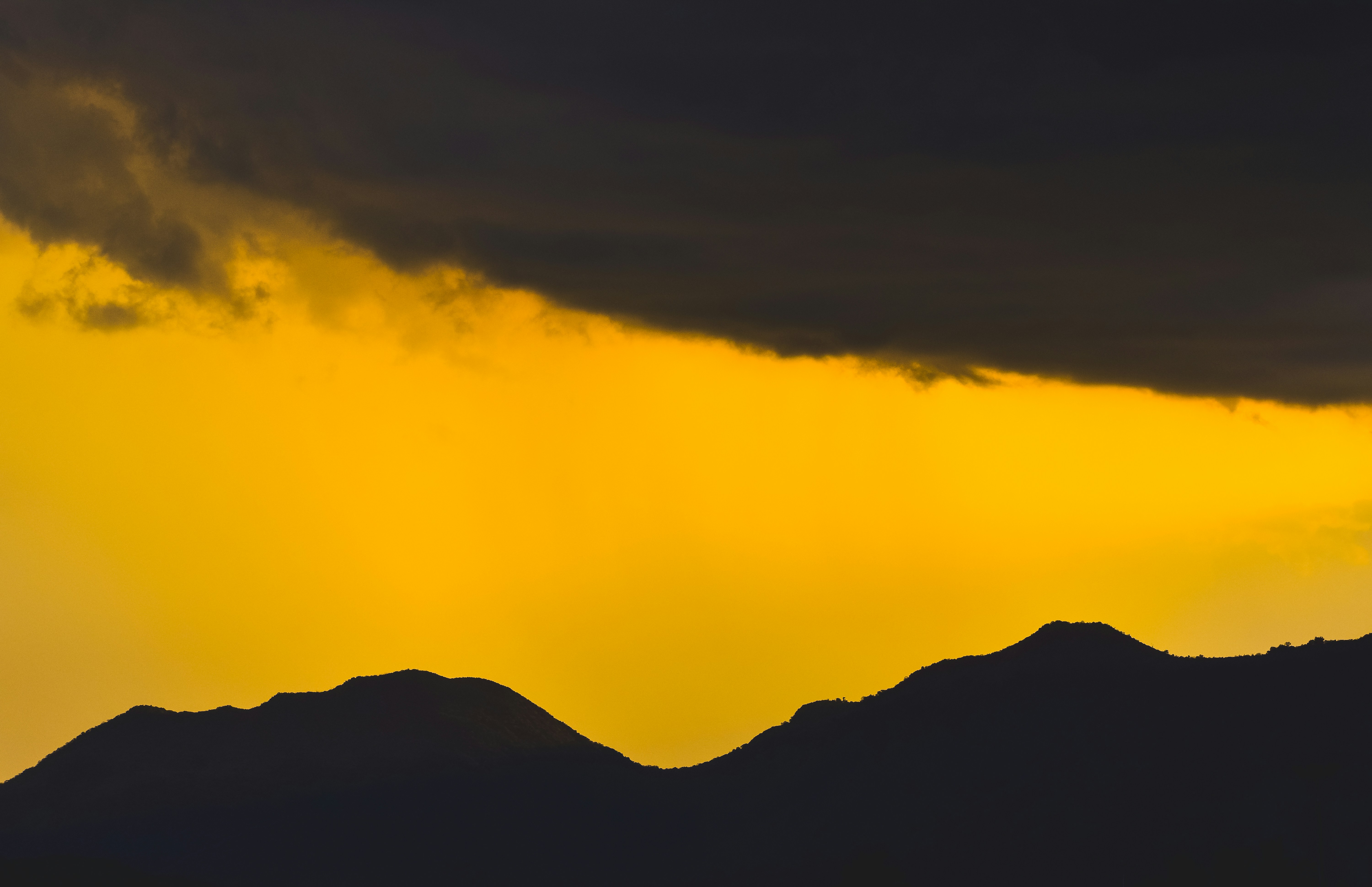 Photo by navi_photography