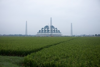 a large field of green grass with a building in the background