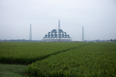 a large field of green grass with a building in the background