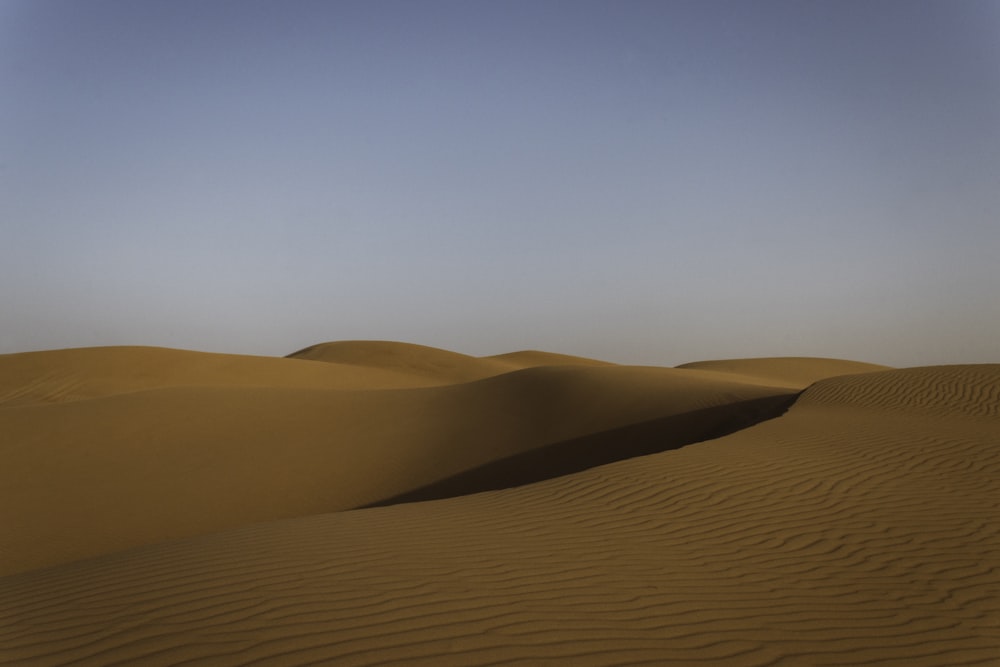 Une vaste étendue de sable dans le désert