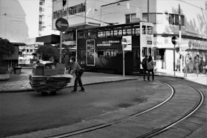Moving Dolly
