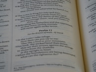 A close-up of an open Bible with sunlight illuminating the pages.