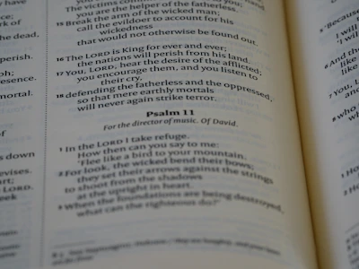 A close-up of an open Bible with sunlight streaming onto the pages.