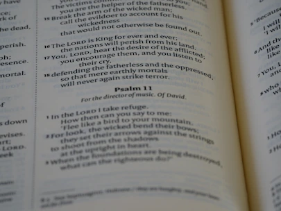 A close-up of an open Bible with sunlight streaming over the pages.