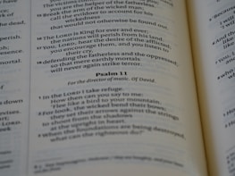 A close-up of an open Bible with sunlight streaming across the pages.