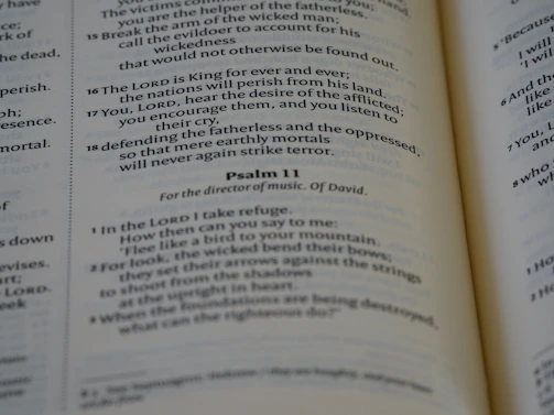 A close-up of an open Bible with soft light illuminating the pages.