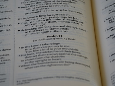 A close-up of an open King James Version Bible with sunlight illuminating the pages.