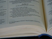 Close-up of a beautifully designed journal featuring a motivational Bible verse on the cover.