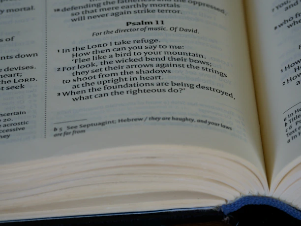 Close-up of a beautifully illustrated Bible verse from one of the ebooks.