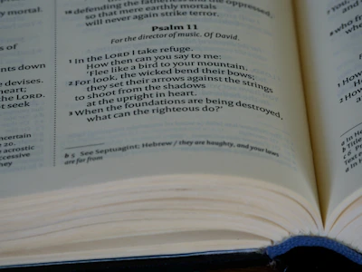 Close-up of a beautifully designed journal featuring a motivational Bible verse on the cover.