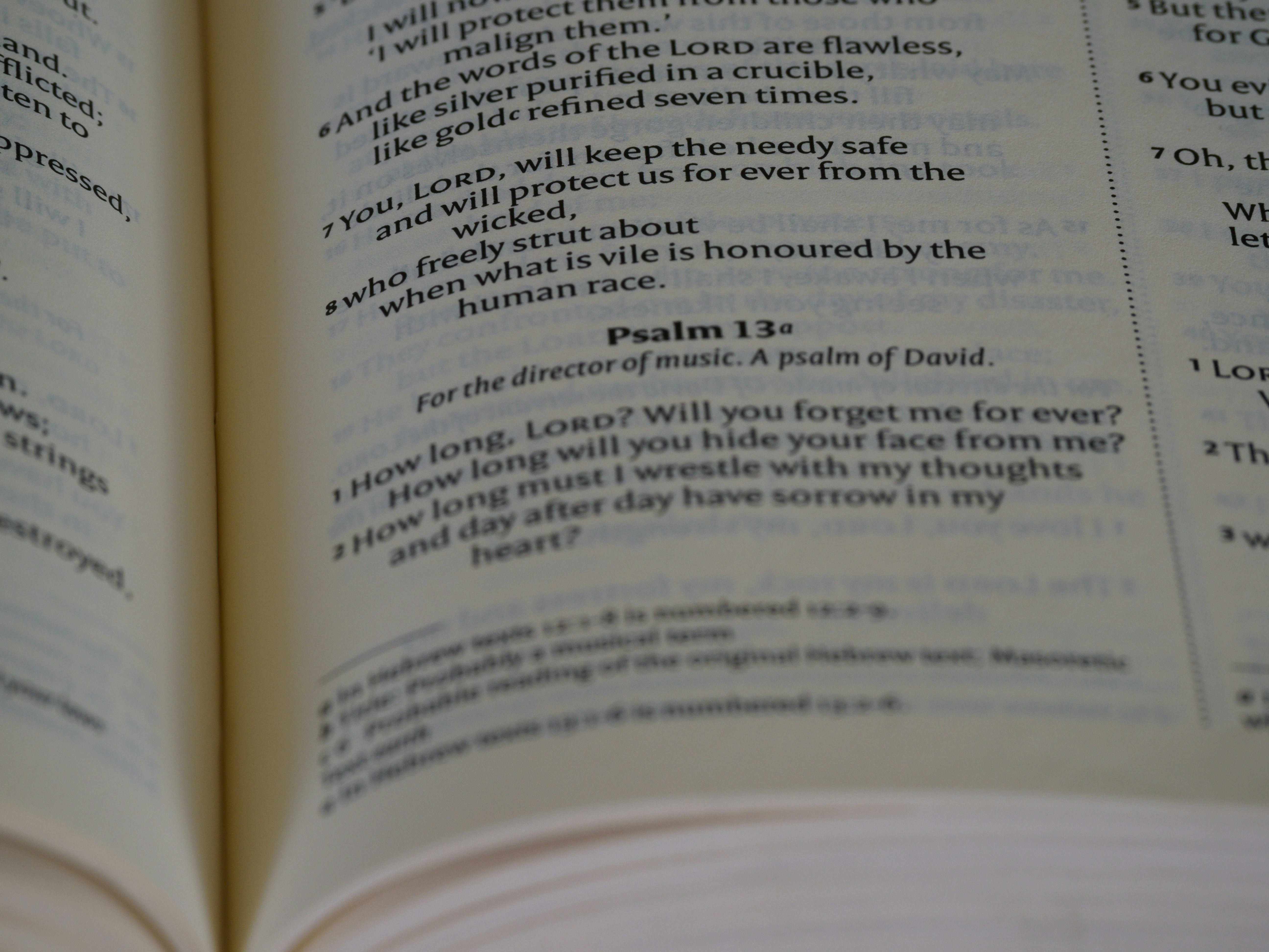 Nahaufnahme eines aufgeschlagenen Buches mit Worten darauf