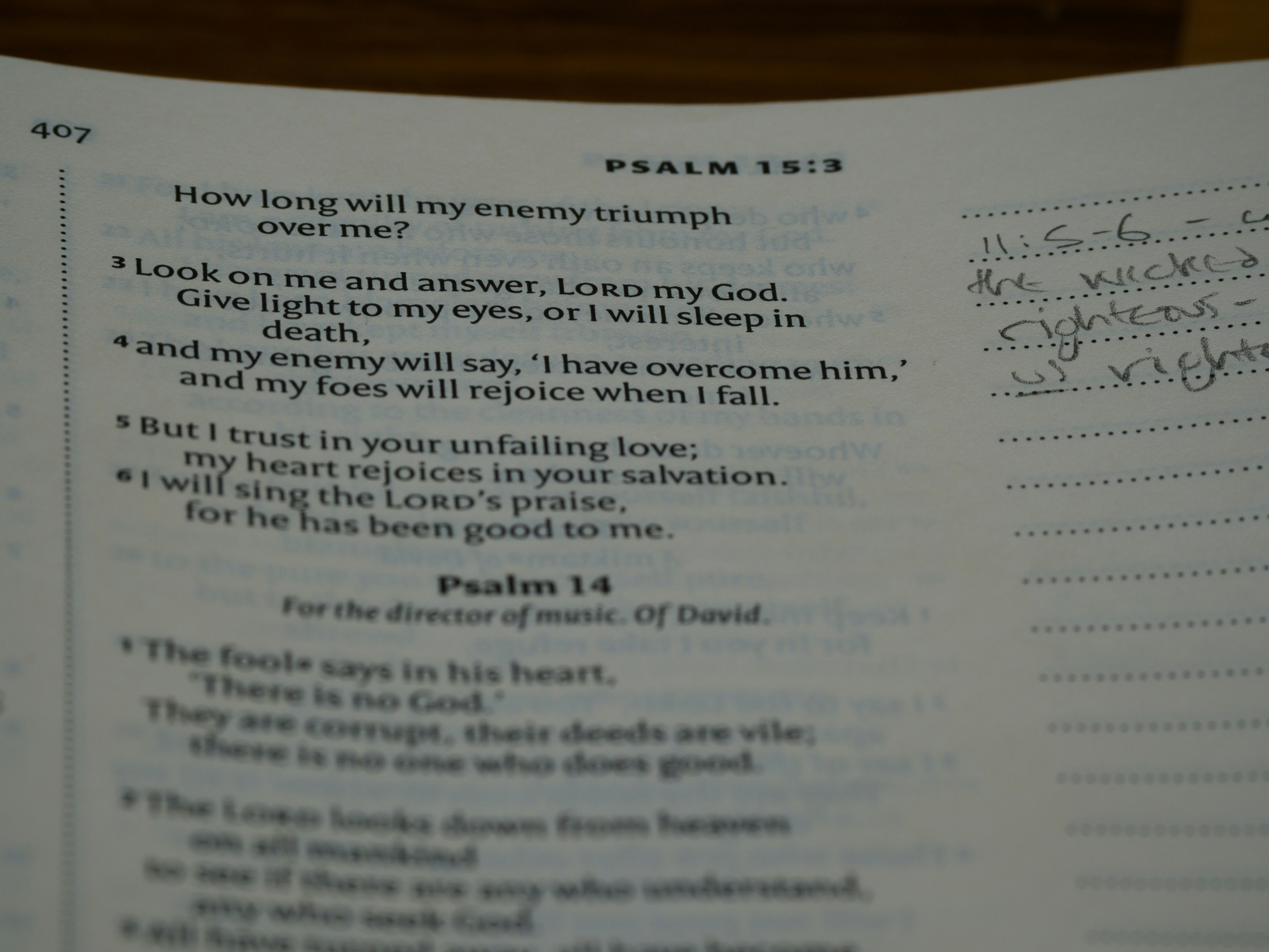 eine Nahaufnahme eines Buches mit Schrift darauf