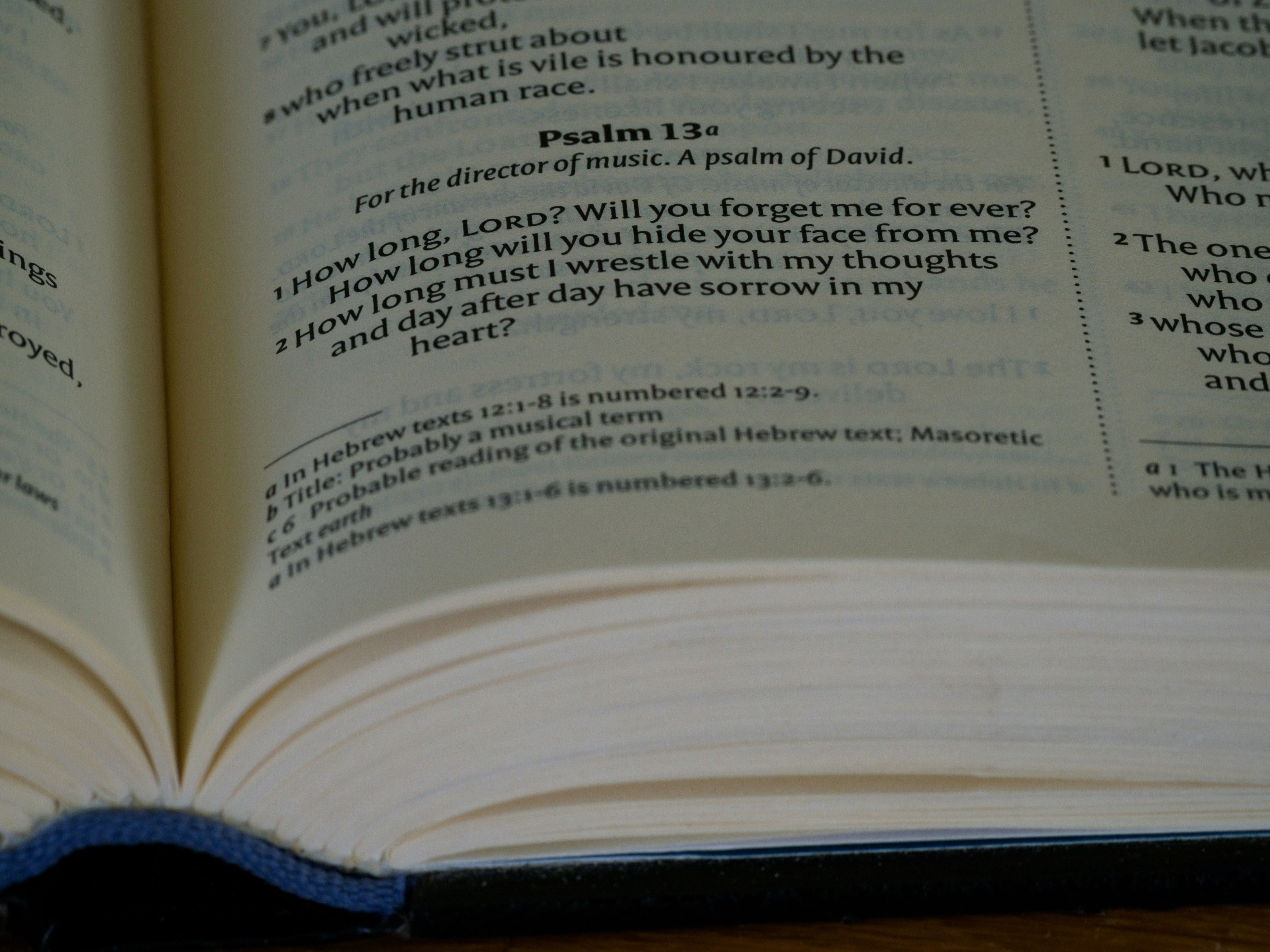 um close up de um livro aberto em uma mesa