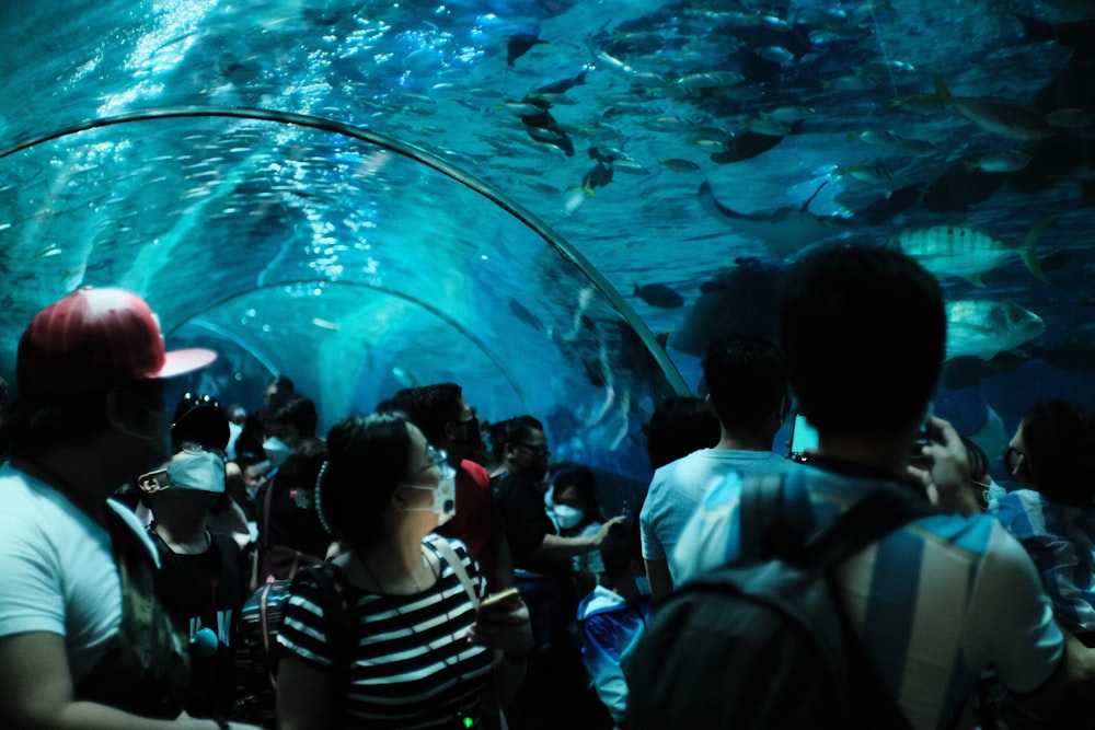 a group of people in a tunnel looking at fish