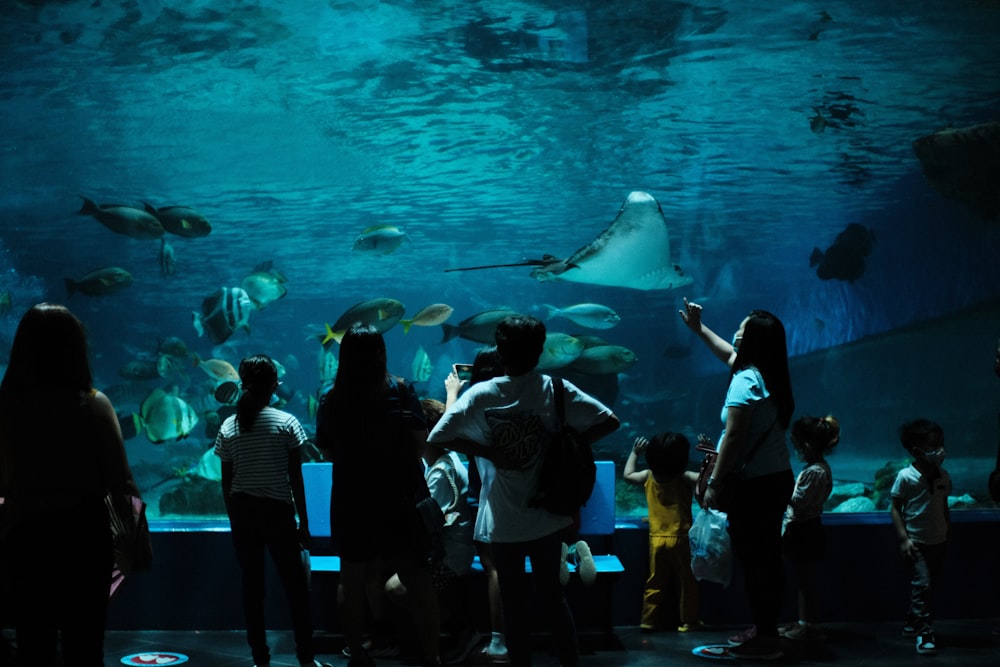 a group of people standing in front of a large aquarium