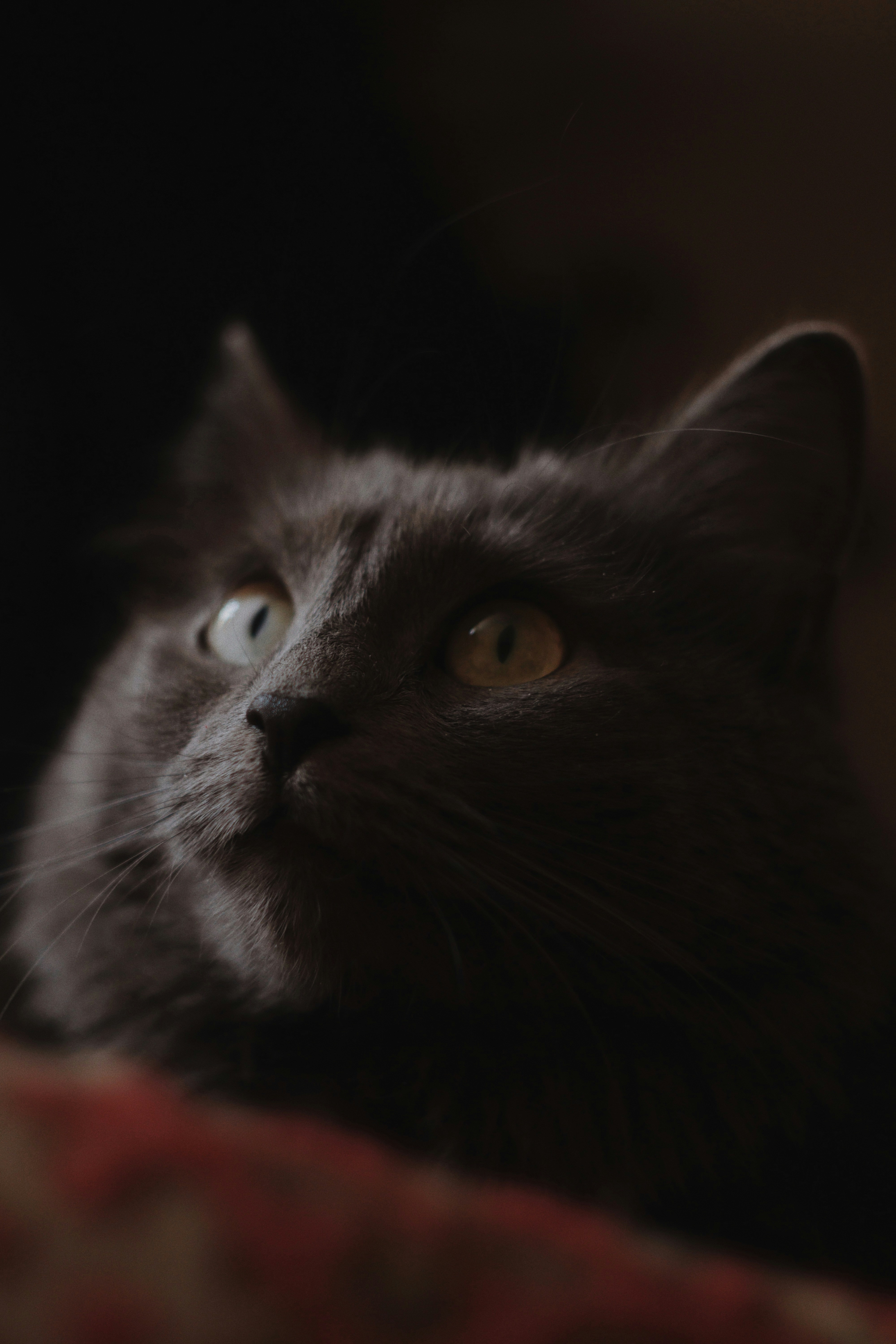 Photo by timesnewroman14