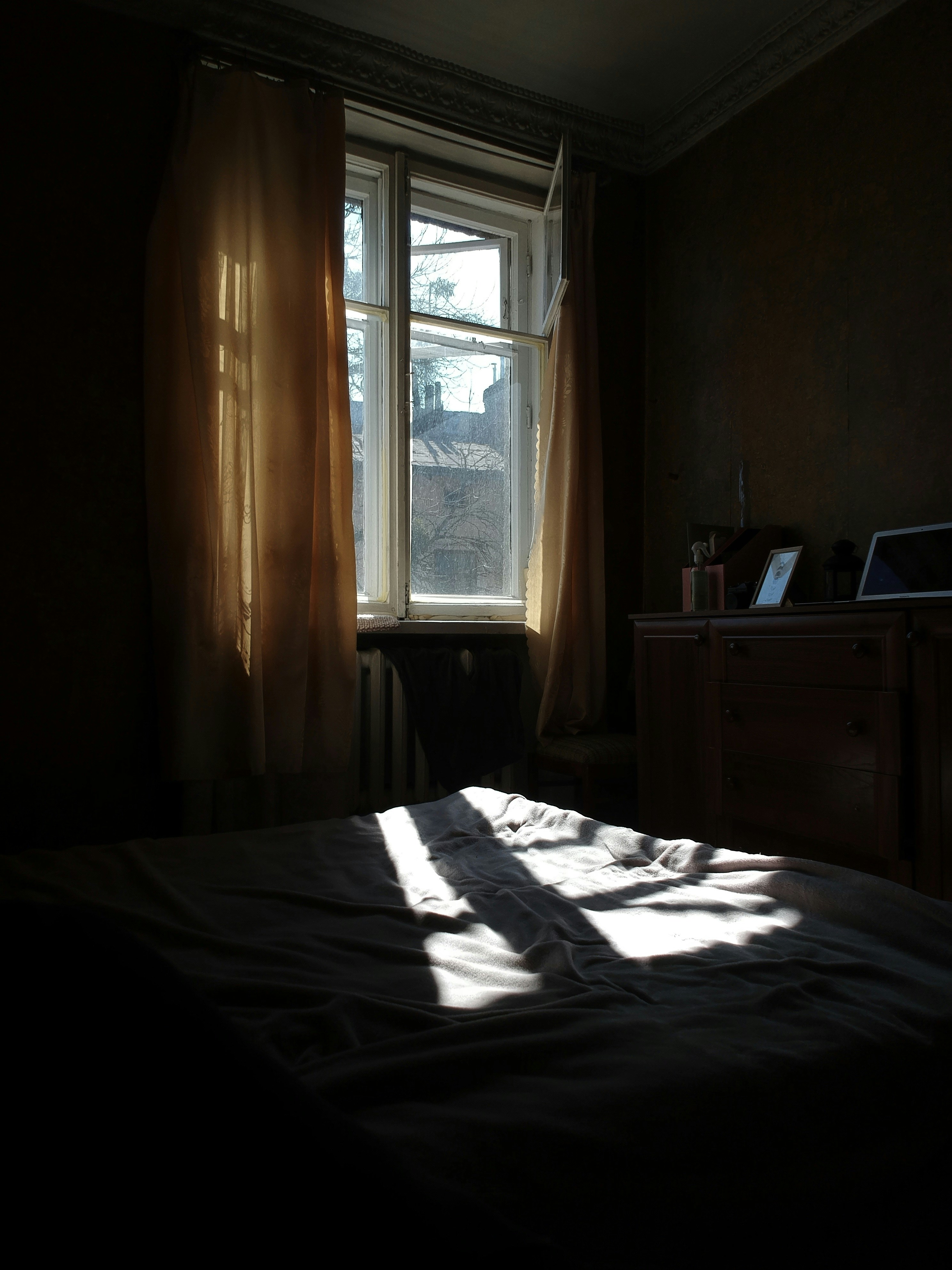 Photo by timesnewroman14