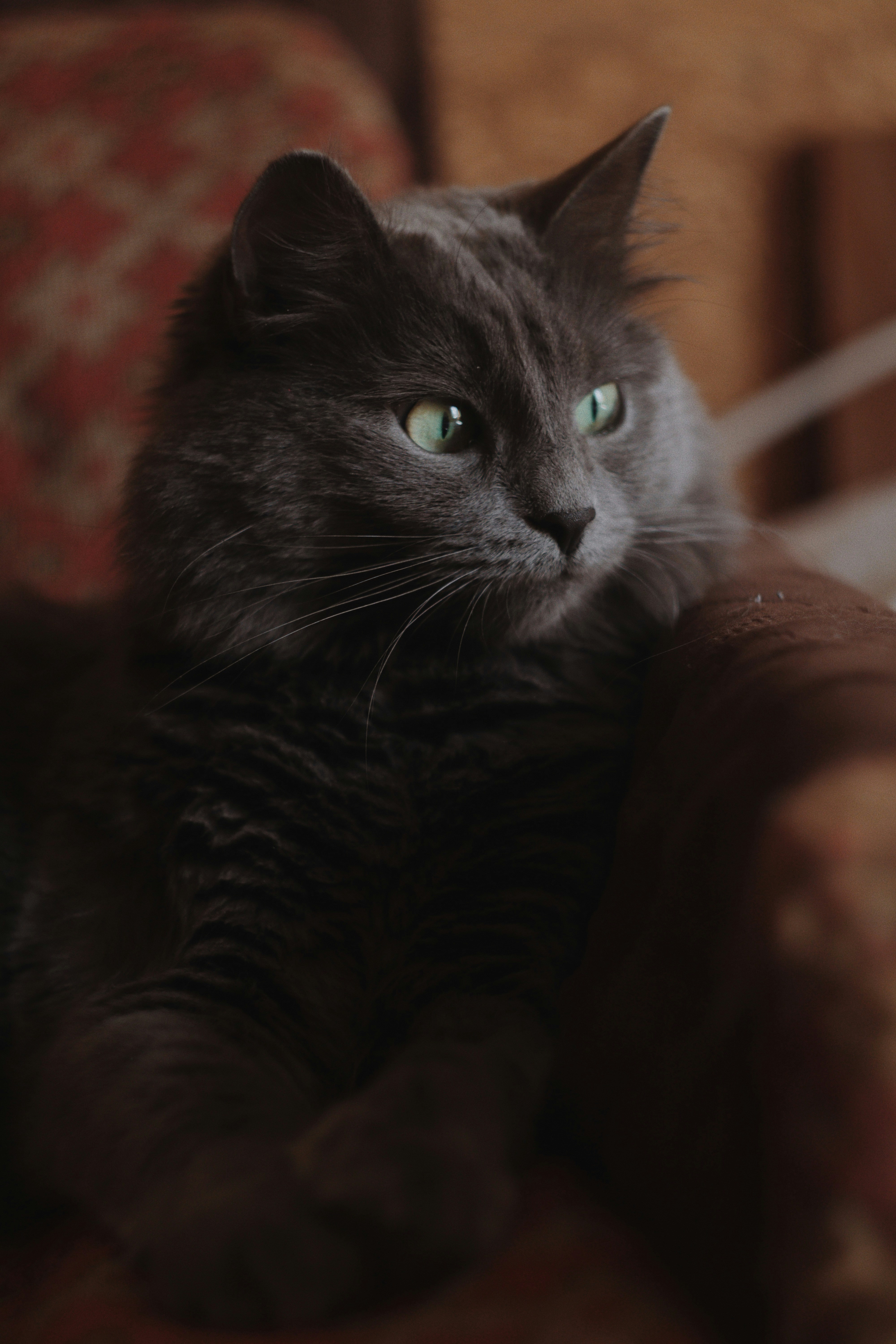 Photo by timesnewroman14