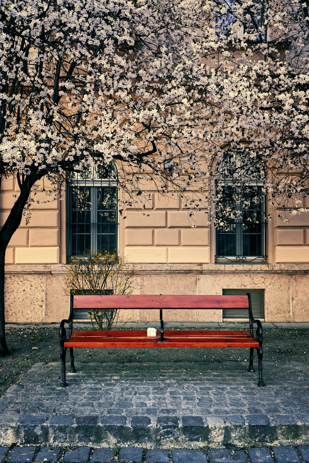 Una panchina rossa seduta sotto un albero accanto a un edificio
