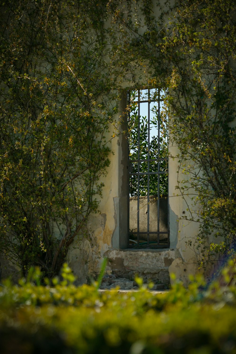 a window in the side of a building surrounded by trees