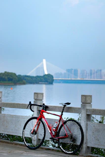 A classic road bike with drop handlebars leaning on a wooden fence near the Rhine river